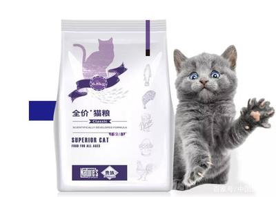 2020年猫粮十大品牌排行榜 宠物食品的选择与推荐