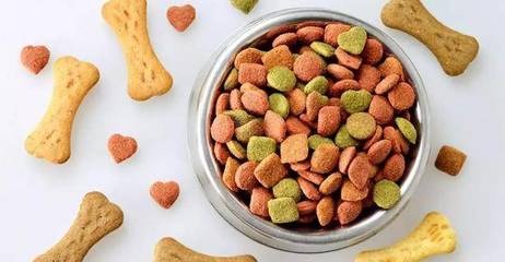 亚马逊宠物板块2018上半年增长超30%，宠物食品成最大贡献者